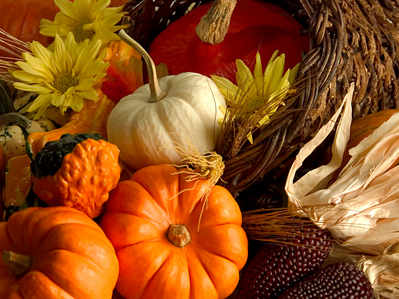 You are currently viewing Six Energy Savings Tips For Thanksgiving