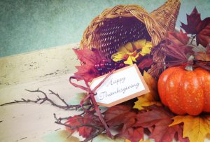 Read more about the article Happy Thanksgiving From CMS Mechanical